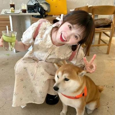 与鲸共舞第一季